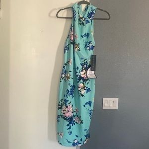 Beautiful NWT Rachael Roy dress. Size Large